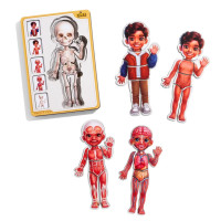 Деревянный пазл-вкладыш "Анатомия человека - мальчик-2" (ПСД261) PSD261 строение тела