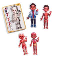 Дерев'яний пазл-вкладиш "Анатомія людини - хлопчик-3" (ПСД262) PSD262