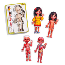 Дерев'яний пазл-вкладиш "Анатомія людини - дівчинка-2" (ПСД263) PSD263