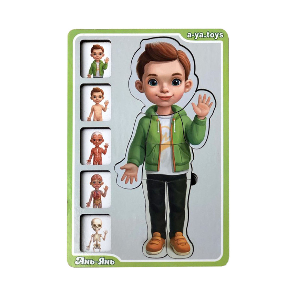 Дерев'яний пазл-вкладиш "Анатомія людини – хлопчик" Ubumblebees (ПСФ026) PSF026