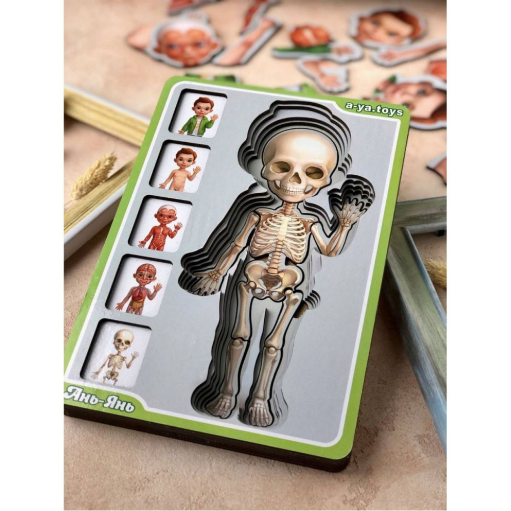 Дерев'яний пазл-вкладиш "Анатомія людини – хлопчик" Ubumblebees (ПСФ026) PSF026