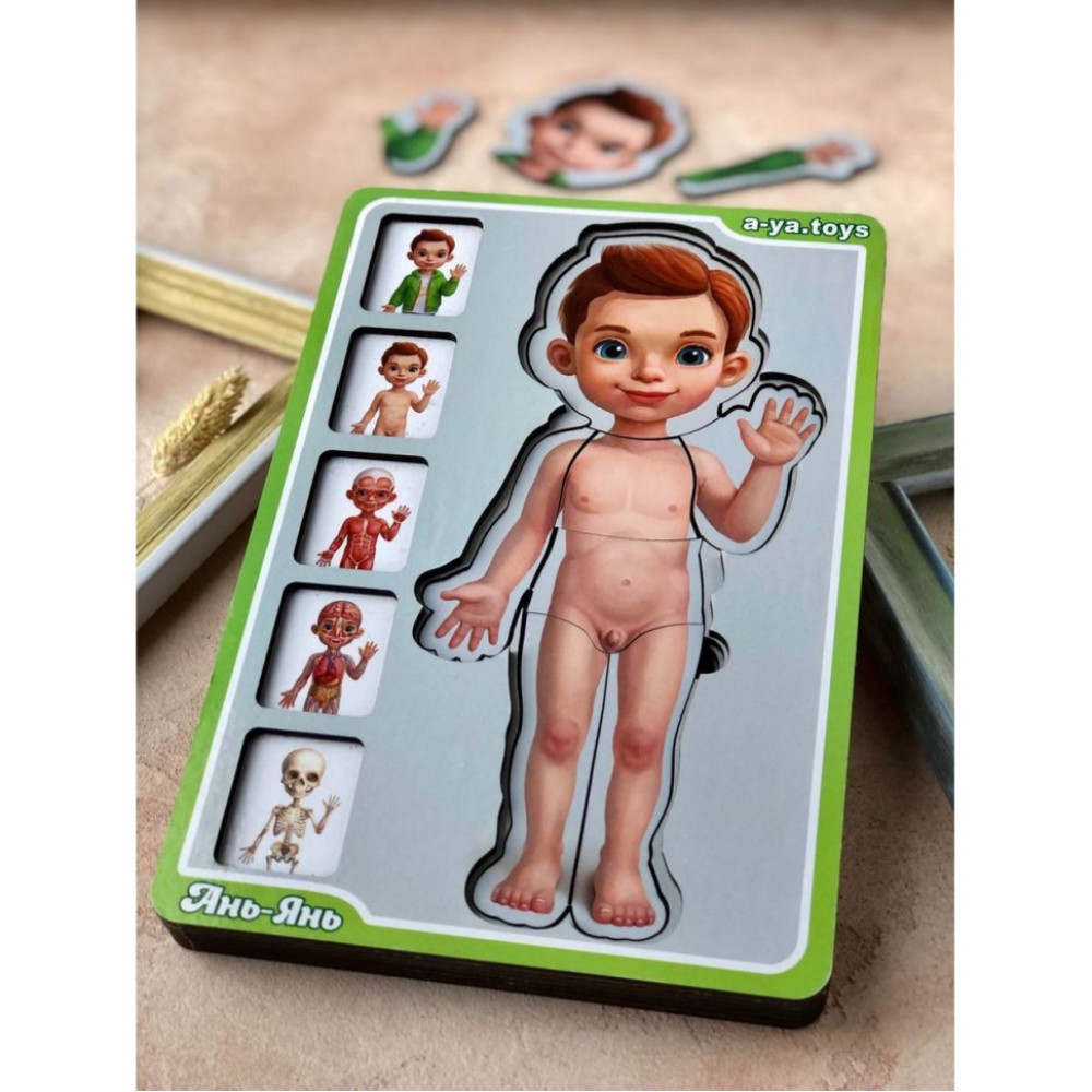 Дерев'яний пазл-вкладиш "Анатомія людини – хлопчик" Ubumblebees (ПСФ026) PSF026